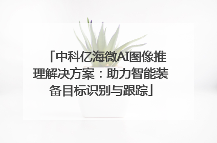 中科亿海微AI图像推理解决方案：助力智能装备目标识别与跟踪