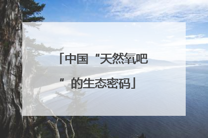 中国“天然氧吧”的生态密码
