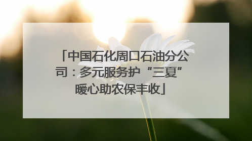 中国石化周口石油分公司：多元服务护“三夏” 暖心助农保丰收