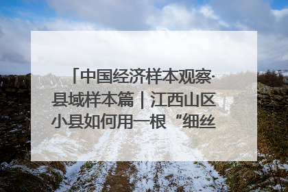 中国经济样本观察·县域样本篇｜江西山区小县如何用一根“细丝”拉出百亿级产业？