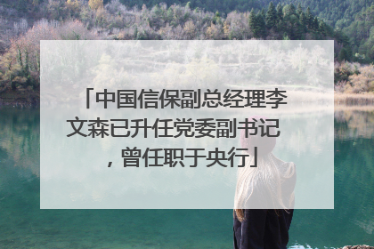 中国信保副总经理李文森已升任党委副书记，曾任职于央行