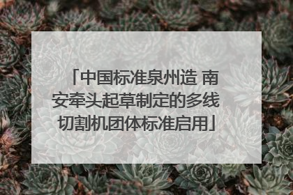 中国标准泉州造 南安牵头起草制定的多线切割机团体标准启用