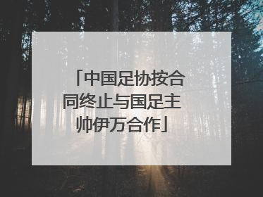 中国足协按合同终止与国足主帅伊万合作