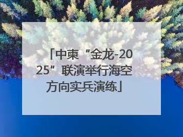 中柬“金龙-2025”联演举行海空方向实兵演练