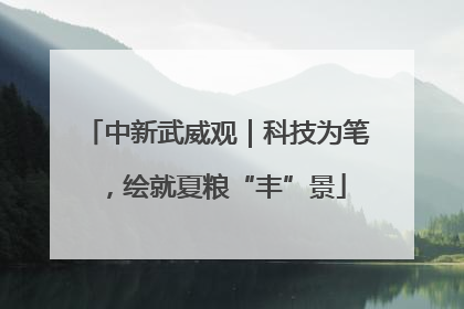 中新武威观｜科技为笔，绘就夏粮“丰”景