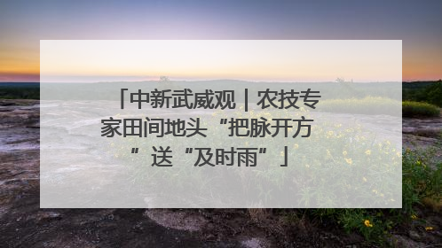 中新武威观｜农技专家田间地头“把脉开方”送“及时雨”