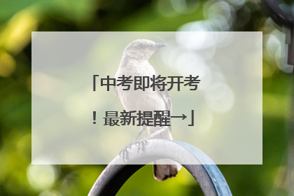 中考即将开考！最新提醒→