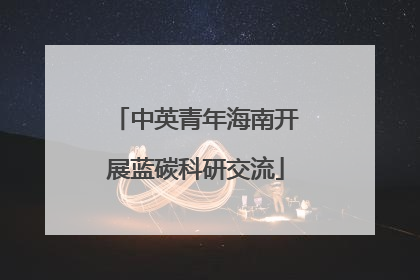 中英青年海南开展蓝碳科研交流