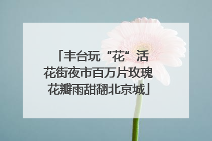 丰台玩“花”活 花街夜市百万片玫瑰花瓣雨甜翻北京城
