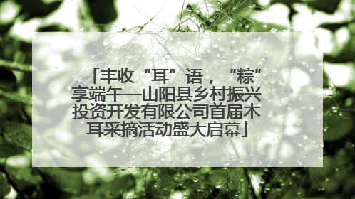 丰收“耳”语，“粽”享端午—山阳县乡村振兴投资开发有限公司首届木耳采摘活动盛大启幕