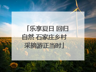 乐享夏日 回归自然 石家庄乡村采摘游正当时