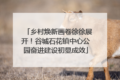 乡村焕新画卷徐徐展开！谷城石花镇中心公园奋进建设初显成效