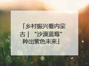 乡村振兴看内蒙古｜“沙漠蓝莓”种出紫色未来