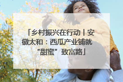 乡村振兴在行动丨安徽太和：西瓜产业铺就“甜蜜”致富路
