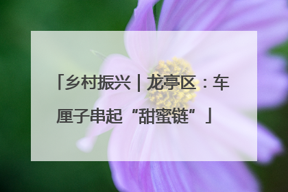 乡村振兴｜龙亭区：车厘子串起“甜蜜链”
