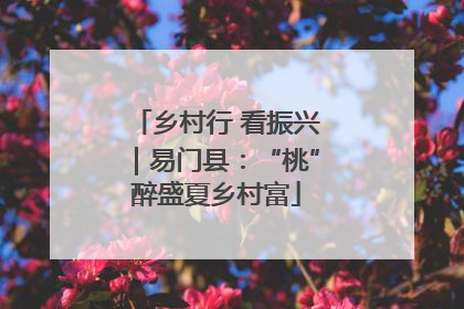 乡村行 看振兴｜易门县：“桃”醉盛夏乡村富