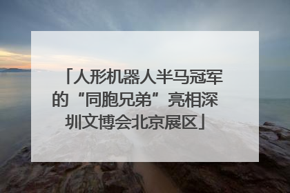 人形机器人半马冠军的“同胞兄弟”亮相深圳文博会北京展区