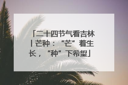 二十四节气看吉林丨芒种：“芒”着生长，“种”下希望