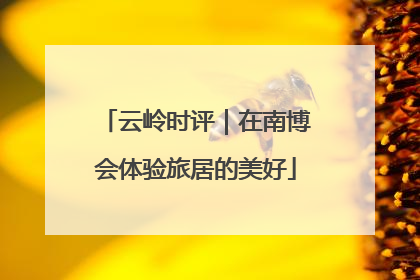 云岭时评｜在南博会体验旅居的美好