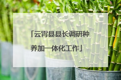 云霄县县长调研种养加一体化工作