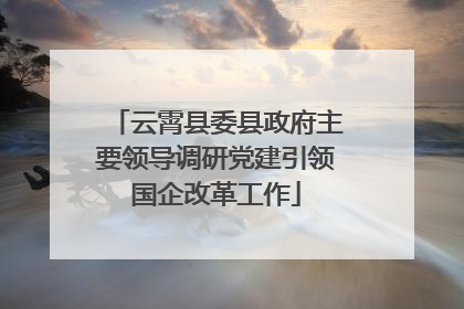 云霄县委县政府主要领导调研党建引领国企改革工作