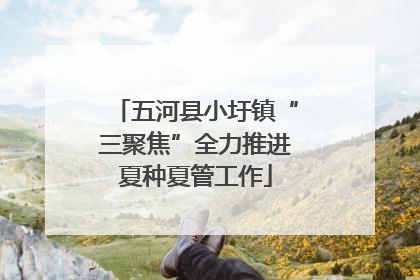 五河县小圩镇“三聚焦”全力推进夏种夏管工作