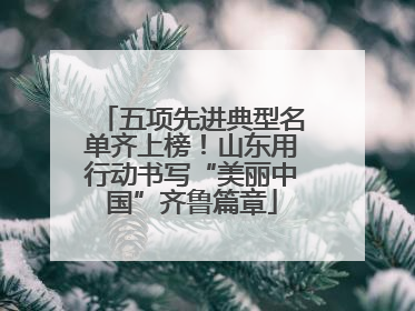 五项先进典型名单齐上榜！山东用行动书写“美丽中国”齐鲁篇章