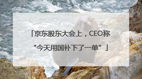 京东股东大会上，CEO称“今天用国补下了一单”