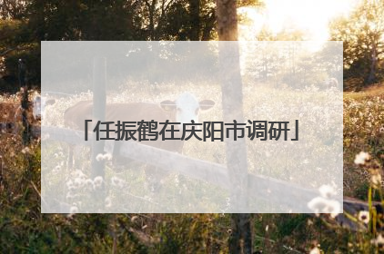 任振鹤在庆阳市调研