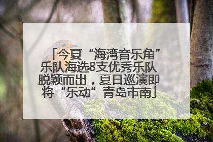 今夏“海湾音乐角”乐队海选8支优秀乐队脱颖而出，夏日巡演即将“乐动”青岛市南