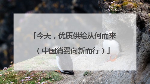 今天，优质供给从何而来（中国消费向新而行）