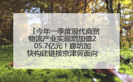 今年一季度现代商贸物流产业实现增加值205.7亿元！廊坊加快构建链接京津冀面向全世界的物流通道