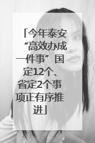 今年泰安“高效办成一件事”国定12个、省定2个事项正有序推进