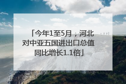 今年1至5月，河北对中亚五国进出口总值同比增长1.1倍