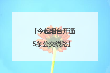 今起烟台开通5条公交线路