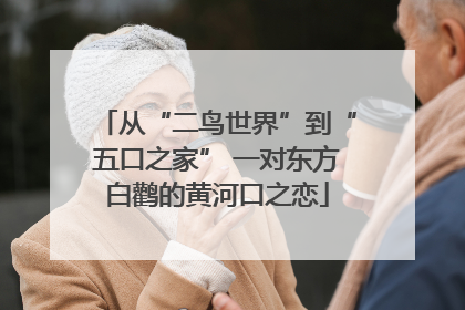 从“二鸟世界”到“五口之家” 一对东方白鹳的黄河口之恋