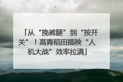 从“挽裤腿”到“按开关”！高青稻田插秧“人机大战”效率拉满