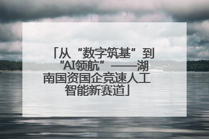 从“数字筑基”到“AI领航”——湖南国资国企竞速人工智能新赛道