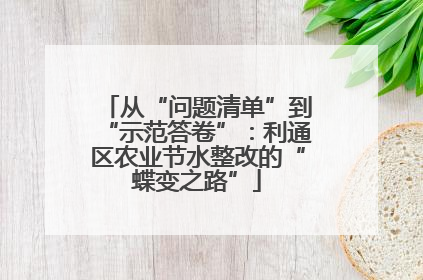 从“问题清单”到“示范答卷”：利通区农业节水整改的“蝶变之路”