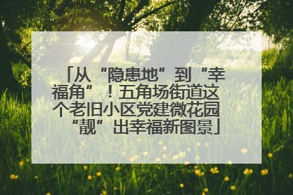 从“隐患地”到“幸福角”！五角场街道这个老旧小区党建微花园“靓”出幸福新图景