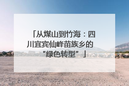 从煤山到竹海：四川宜宾仙峰苗族乡的“绿色转型”