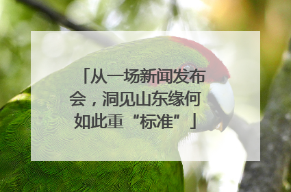从一场新闻发布会，洞见山东缘何如此重“标准”