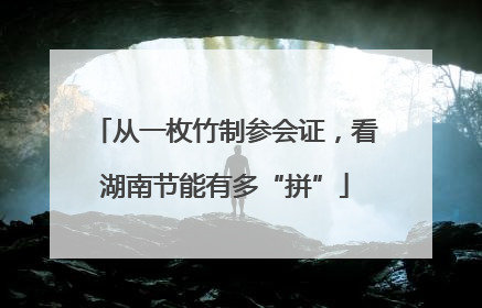 从一枚竹制参会证，看湖南节能有多“拼”