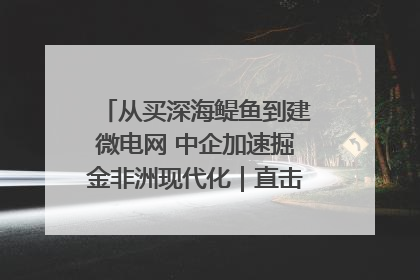 从买深海鳀鱼到建微电网 中企加速掘金非洲现代化｜直击中非经贸博览会