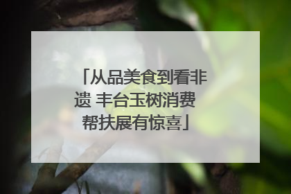 从品美食到看非遗 丰台玉树消费帮扶展有惊喜