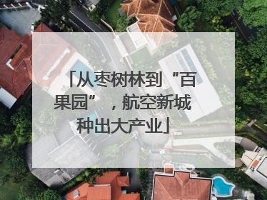 从枣树林到“百果园”，航空新城种出大产业