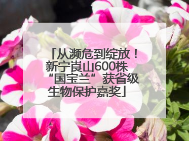 从濒危到绽放！新宁崀山600株“国宝兰”获省级生物保护嘉奖