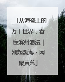 从海瓷上的万千世界，看懂滨州浪漫｜潮起渤海・网聚黄蓝