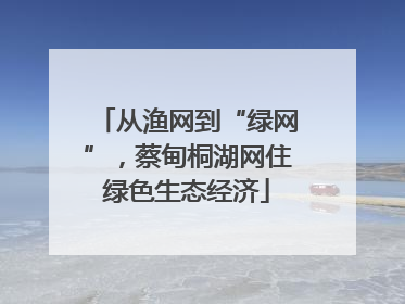 从渔网到“绿网”，蔡甸桐湖网住绿色生态经济