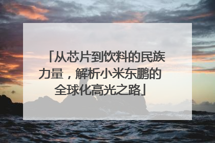 从芯片到饮料的民族力量，解析小米东鹏的全球化高光之路